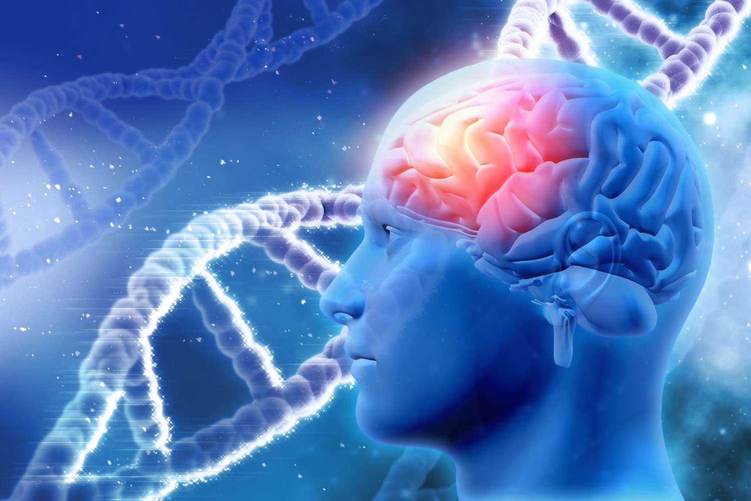 Neurological Disorders: Common Types, Symptoms, and Treatment Options